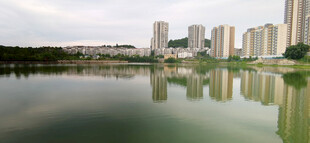 城市湖畔风光倒影如画