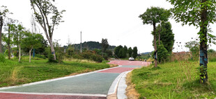 彩色道路旁的绿意风景