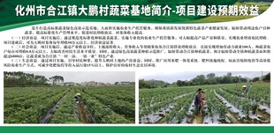 蔬菜基地简介项目建设预期效益