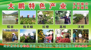 特色产业风采展示