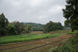 乡村田野风光景色