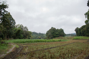 乡村田野风光景色