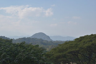 青山绿树间的远山景色