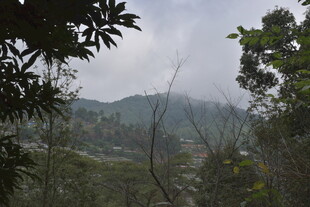 山林云雾景观