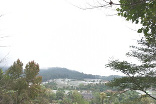 山林间远眺城市景观