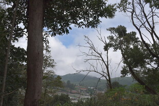 山林间的开阔景致
