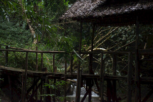 丛林中的木质高架小屋