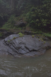 溪边嶙峋岩石与葱郁植被