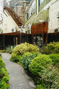 庭院绿植环绕的幽静小径