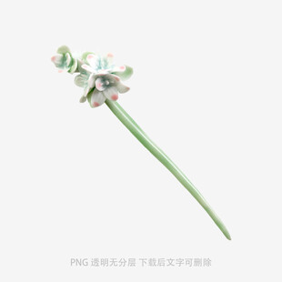 一枝清新多肉植物