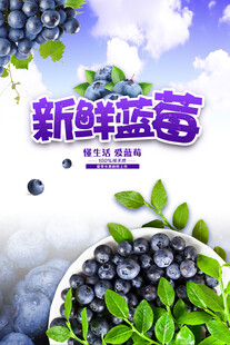 蓝莓