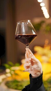 手持红酒杯 品味优雅时刻