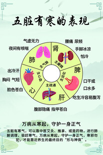 五脏养生
