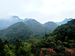 黄山 青山翠谷间的朦胧美景