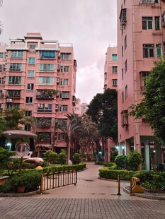 粉色居民楼与周边绿化景观