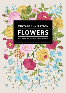 边框花卉矢量花