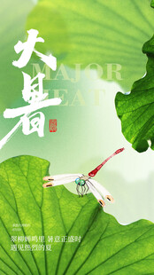 大署海报 
