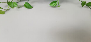 绿叶灰色背景装饰