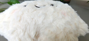 可爱白色毛绒笑脸抱枕