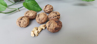 散落的核桃及绿叶