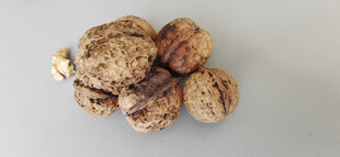 一堆带纹路带壳的核桃