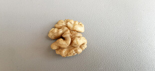 一颗饱满的核桃仁