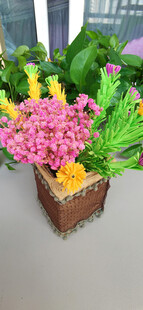 手工多彩盆栽装点室内小角落