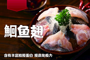 鮰鱼翅