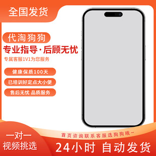 淘宝主图