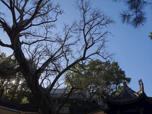 锡惠名胜区
