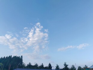 蓝天绿树间的白云美景