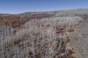 秋日山林俯瞰美景