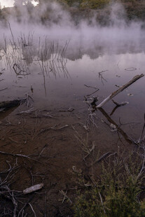 雾气弥漫的静谧水域
