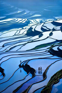梯田