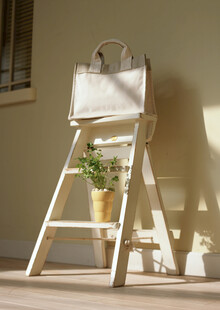 梯子上的精致手提包