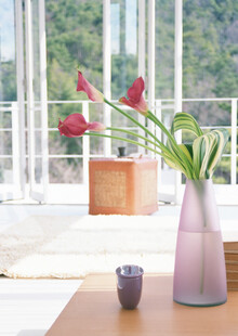 室内花瓶插花温馨场景