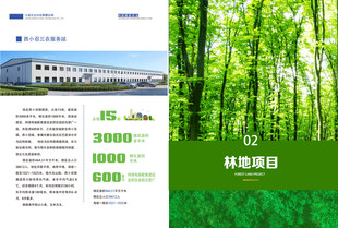 林业项目宣传页展示