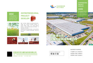 工业厂房宣传册内页展示