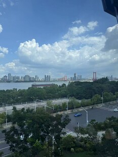 城市河畔绿树景观