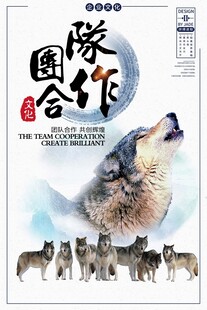 狼群国际合作主题海报