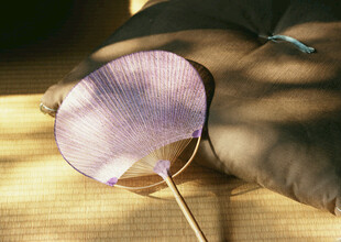 古风团扇置于榻上