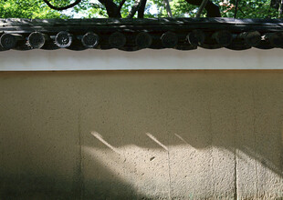 墙上映着斑驳光影