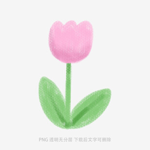 粉色手绘郁金香插画