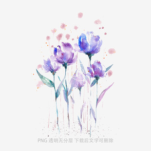 水彩绘紫色花卉插画