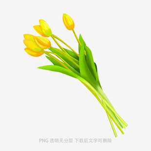 黄色郁金香花束