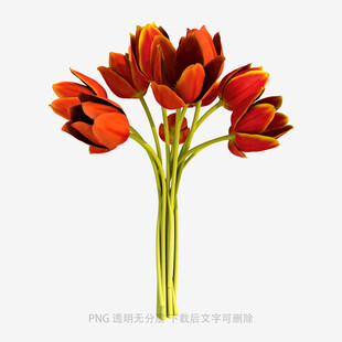 红色郁金香花束