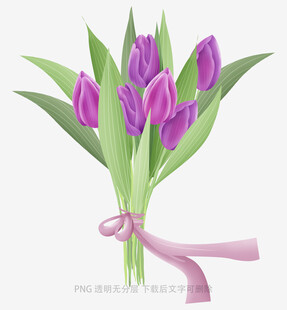 紫色郁金香花束
