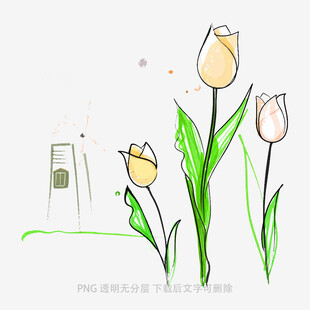 手绘清新郁金香插画