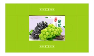 精品葡萄包装