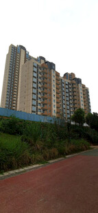 城市道路旁的高层住宅区